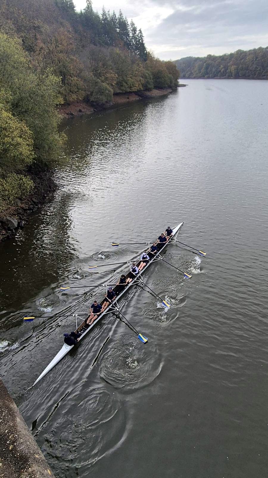 journee du 8 pledeliac 2025